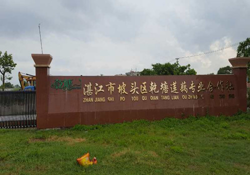 W66利来官网藕粉粉丝粉条出产线已经在昌都莲藕合作社起头工作了