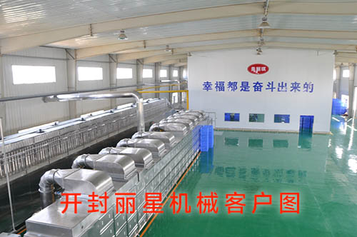 河南俏丽琪食品有限公司引进W66利来官网方便粉丝出产线