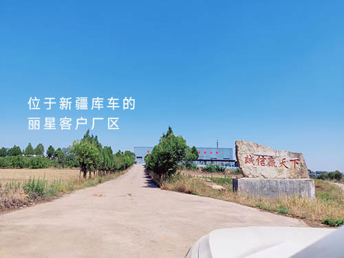 W66利来官网水晶粉丝机达到位于新疆库车的出产厂家