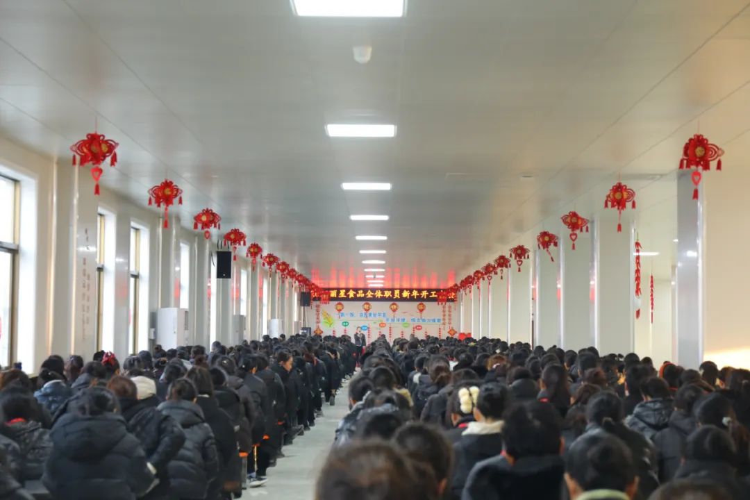 玉兔迎新春，奋进新征程