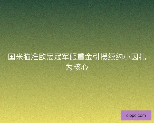 国米瞄准欧冠冠军砸重金引援续约小因扎为核心